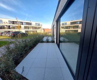 Apartment for rent in Wielsbeke