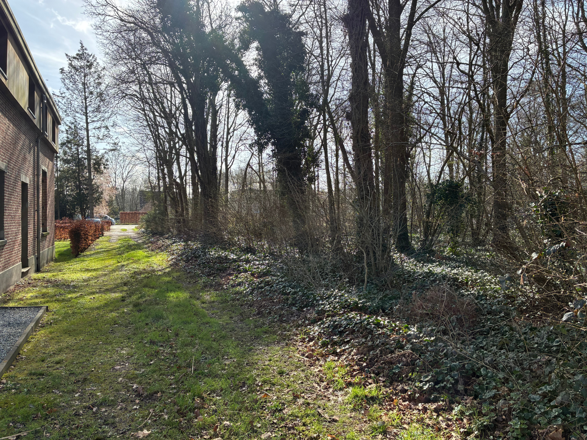 Groot stuk bos gelegen in woonparkgebied - foto 3