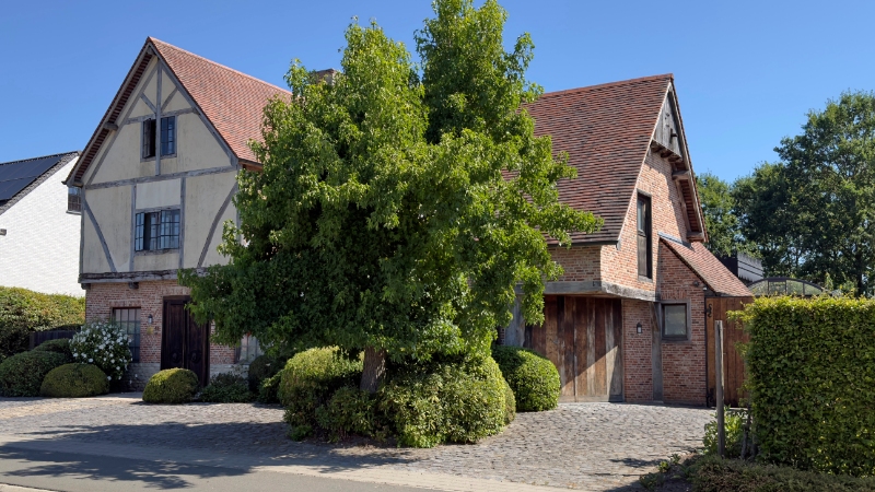 Exclusieve villa 540m² in authentieke stijl met praktijk-kantoorruimte op 17 are met vergezicht op Netevallei - foto 5