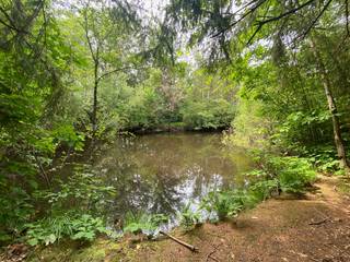 Deze grond wordt aangeboden aan een vanafprijsOp zoek naar een rustige plek om te ontspannen in de natuur? Deze prachtige recreatiegrond van 19 are,...