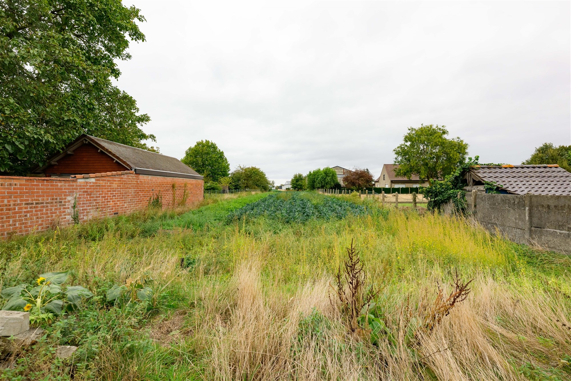 Land for sale in Vinkt with 3 bedrooms - photo 1