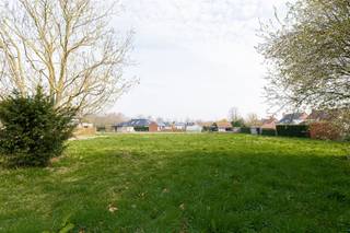 <p>Droomt u van wonen in alle rust en omringd door de natuur? Dan is deze bouwgrond in de Lorkendreef te Kruisem precies wat je zoekt.</p><p>Gelegen op een steenworp van het prachtige Lozerbos geniet u hier dagelijks van een unieke, groene omgeving.</p><p>Het perceel heeft een royale oppervlakte van maar liefst 1951m² en is bereikbaar via een lange privatieve oprijlaan van ca. 36m lang, wat privacy en exclusiviteit creëert.</p><p>Hier krijgt u de kans een open bebouwing te realiseren, bestaande uit maximaal één bouwlaag en een plat dak.<br />Bouwvoorschriften:<br /> - Kroonlijsthoogte: 3m<br /> - Maximaal toegelaten bebouwde oppervlakte: 250m²<br /> - Carport mogelijk<br /> - Alle verhardingen en niet-overdekte constructies dienen zich binnen de voorziene bouwzone te bevinden.</p><p>Heeft u interesse in deze unieke opportuniteit? Neem vandaag nog contact met ons op voor meer informatie!</p>