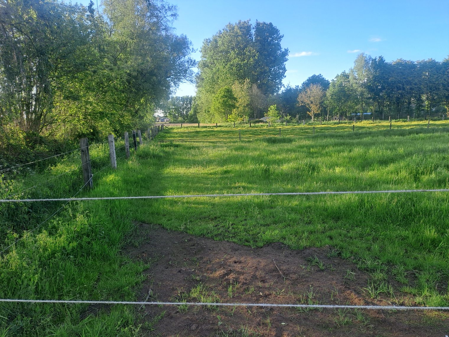 Grond te koop in Lichtaart - foto 4