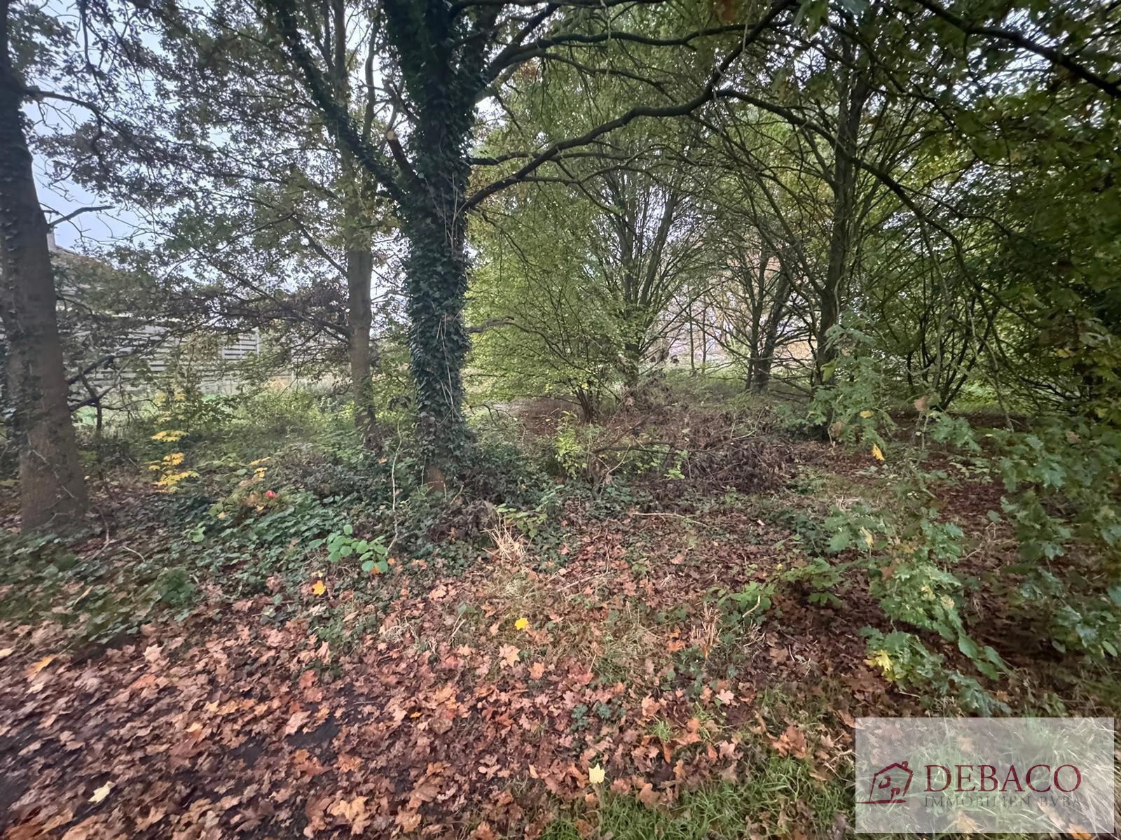 Rustig gelegen bouwgrond voor OB - foto 3