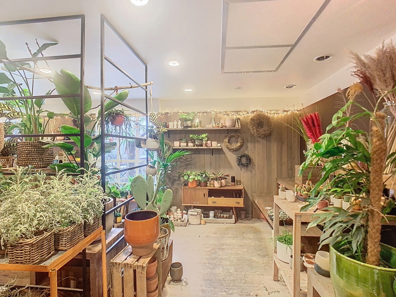 Commercial for rent in Lier - photo 5