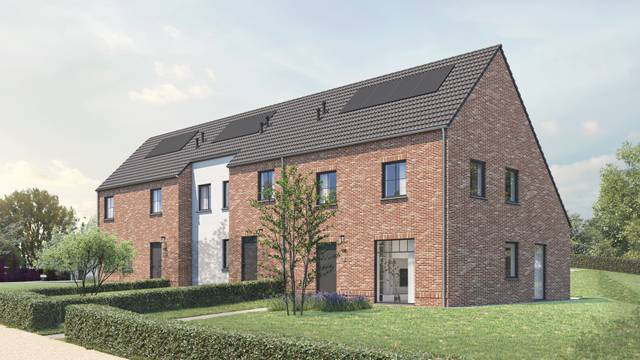 Project te koop in Nederhasselt