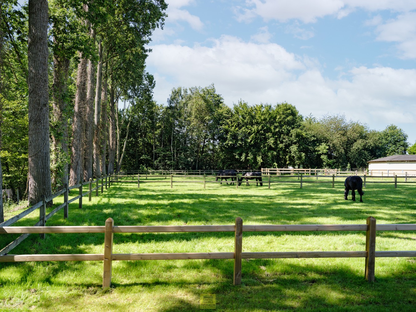 Maison à vendre à Sint-Martens-Lennik avec 7 chambres - photo 5