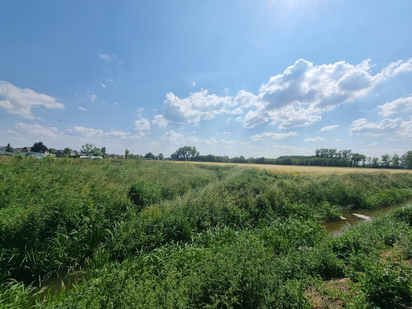 LAATSTE! Ruime nieuwbouw woning op een prachtige locatie! - foto 4