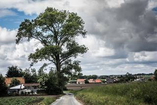Houthulst - Landelijk gelegen woning met tal van mogelijkheden te koop.In Houthulst bevindt zich deze woning op een rustige ligging met een mooi...