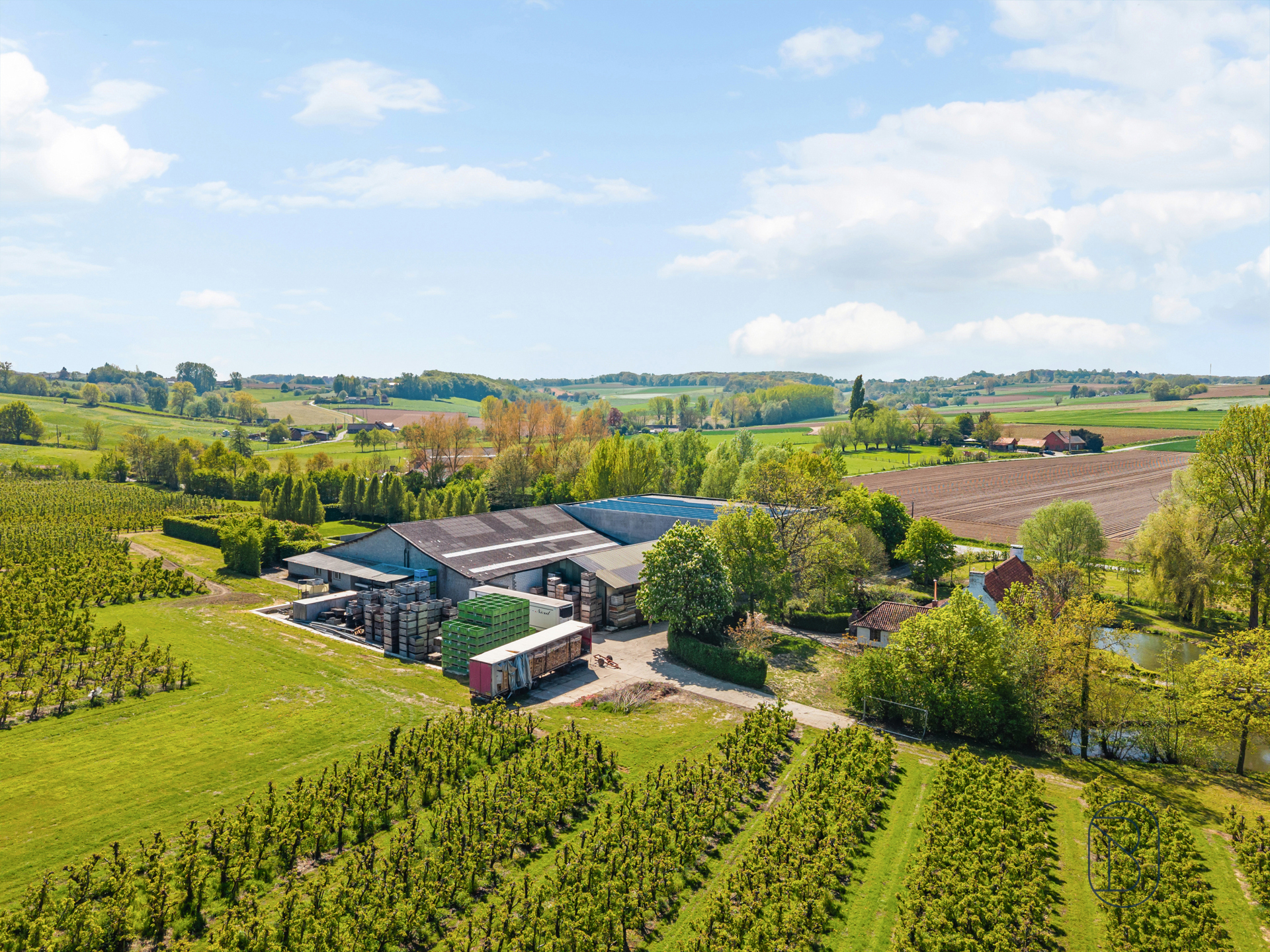 Unieke eigendom op 18 hectare te Kwaremont.  - foto 5