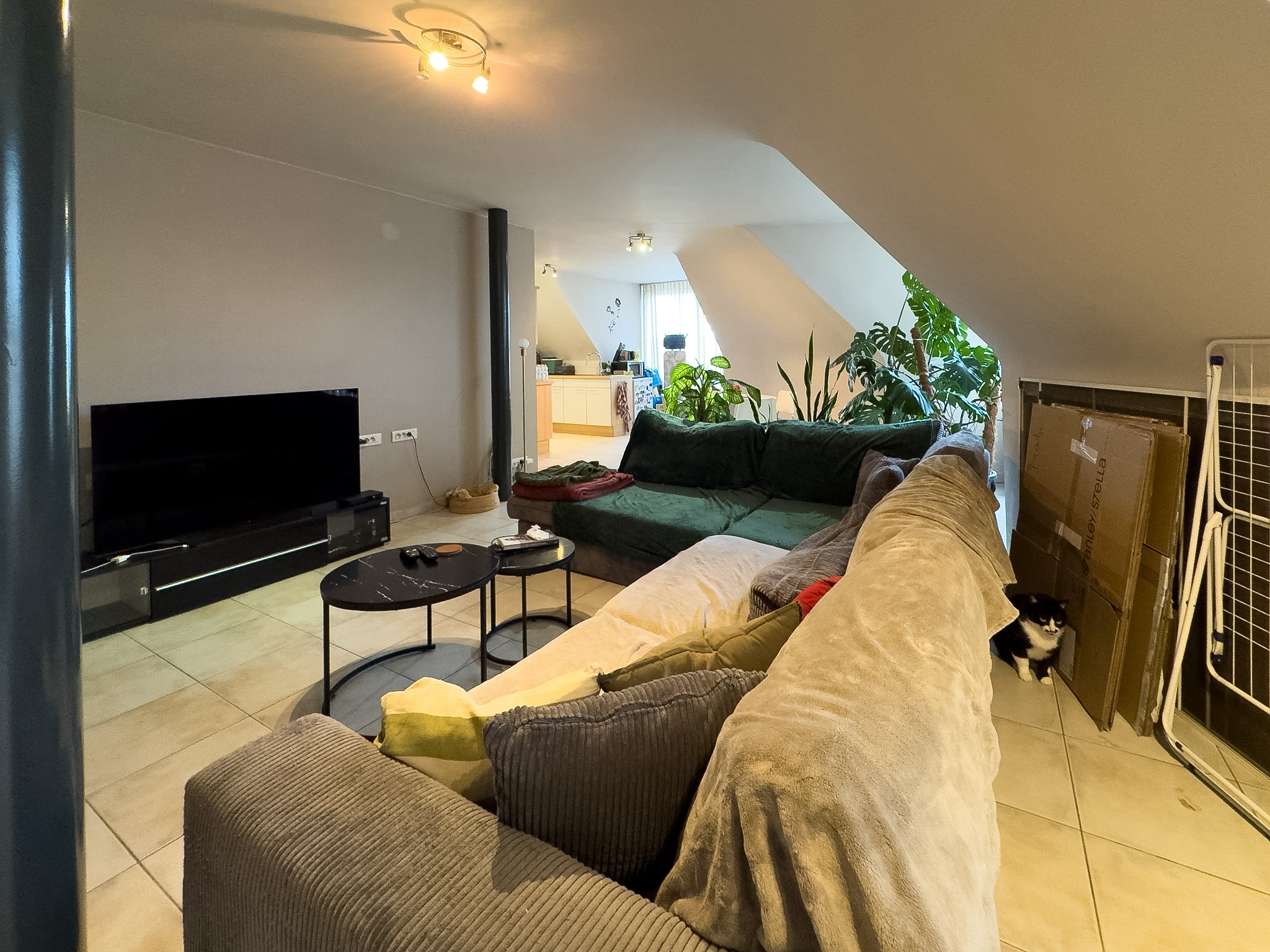 Lichtrijk en energiezuinig appartement te huur - foto 2