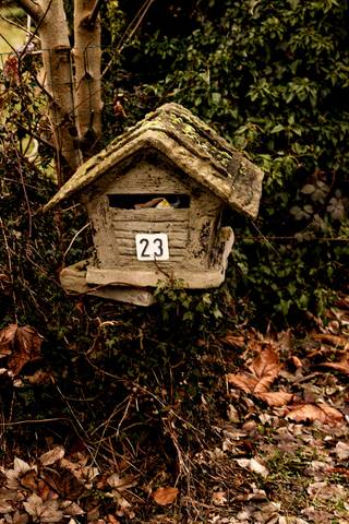 IDYLLISCHE FAMILIEWONING MET BIJGEBOUWEN AAN DE OUDEBERGHELLING TE GERAARDSBERGEN. Met deze woning neem je een teletijdmachine naar vervolgen nostalgische tijden...Gebouwd 1967 met architectenplan van 1964. Het grote perceel van bijna 24are vind je langs de verbindingsweg Geraardsbergen-Edingen aan de zogenoemde "Zonnebloem". De woning staat een heel eind naar achter dus positief qua geluidsniveau. De lange oprit trekt je mee naar de bijgebouwen die vroeger dienst deden als garages en atelier. Hier zijn mogelijkheden al is de slijtage van de "jaren" steeds zichtbaar. Binnenin is de kwalitatieve materiaalkeuze van destijds nog zichtbaar en geniet je van een zeer ruimtelijk en lichtrijk geheel. Indeling : GV met traphal, badkamer, keuken, leefruimte. 1ste met 5 slaapkamers. De liefde van de woning is er nog maar er is wel werk nodig. Wil je helemaal opnieuw beginnen dan komt dit perceel ook in aanmerking als mogelijke bouwgrond (mondeling advies bij stedenbouw had het over mogelijk 2 misschien zelfs 3 bouwgronden). Verder te onderzoeken of te ontwikkelen. Veel mogelijkheden..Wens je deel uit te maken van dit sprookje op weg naar realiteit ? Neem een afspraak en vastgoedmakelaar Cedric informeert je tijdens een plaatsbezoek. Bel naar het CasaVista Team voor een individuele afspraak : 054412500