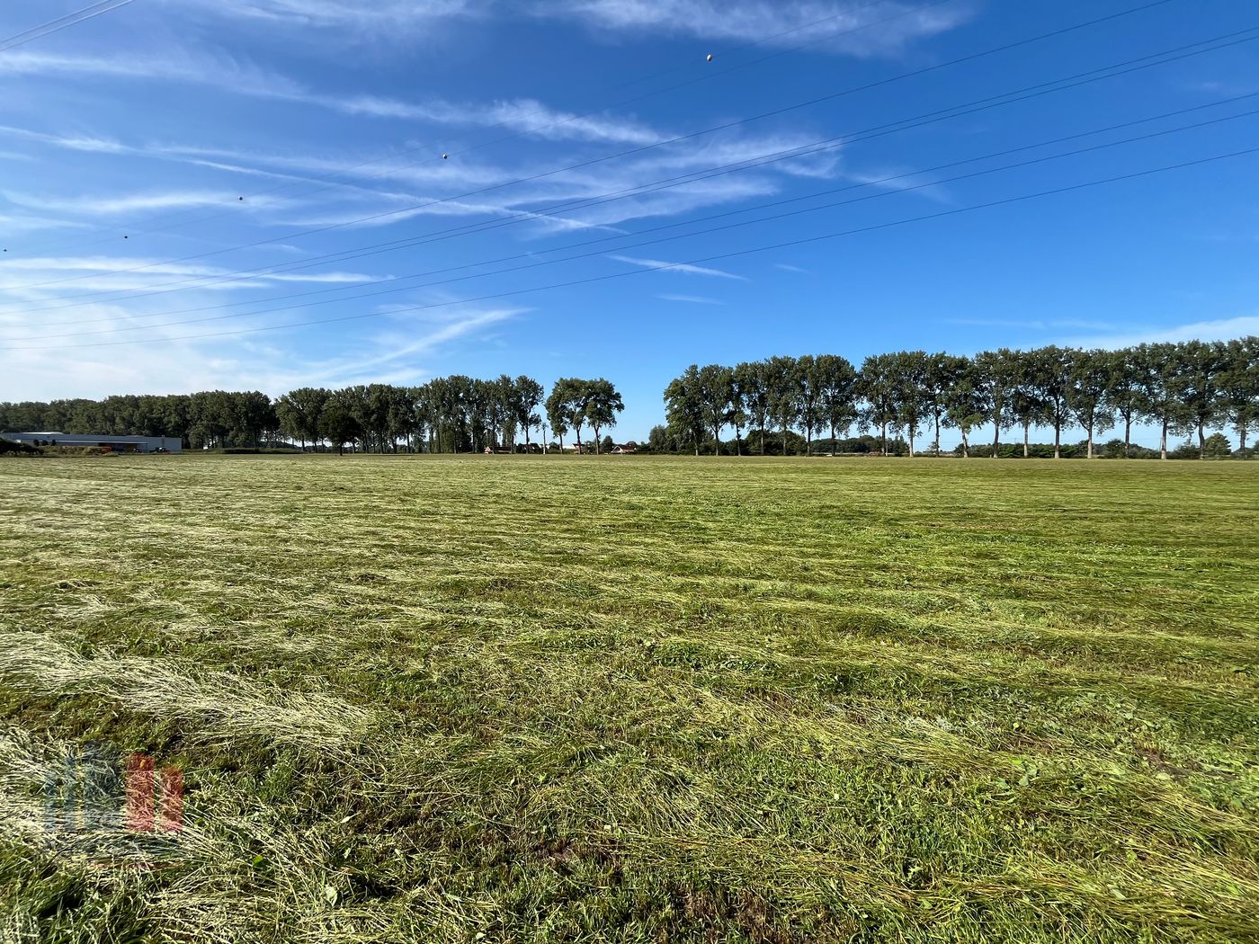 Industriegrond op maat vanaf 5.000m² tot 36.000m² mét zichtlocatie - foto 3