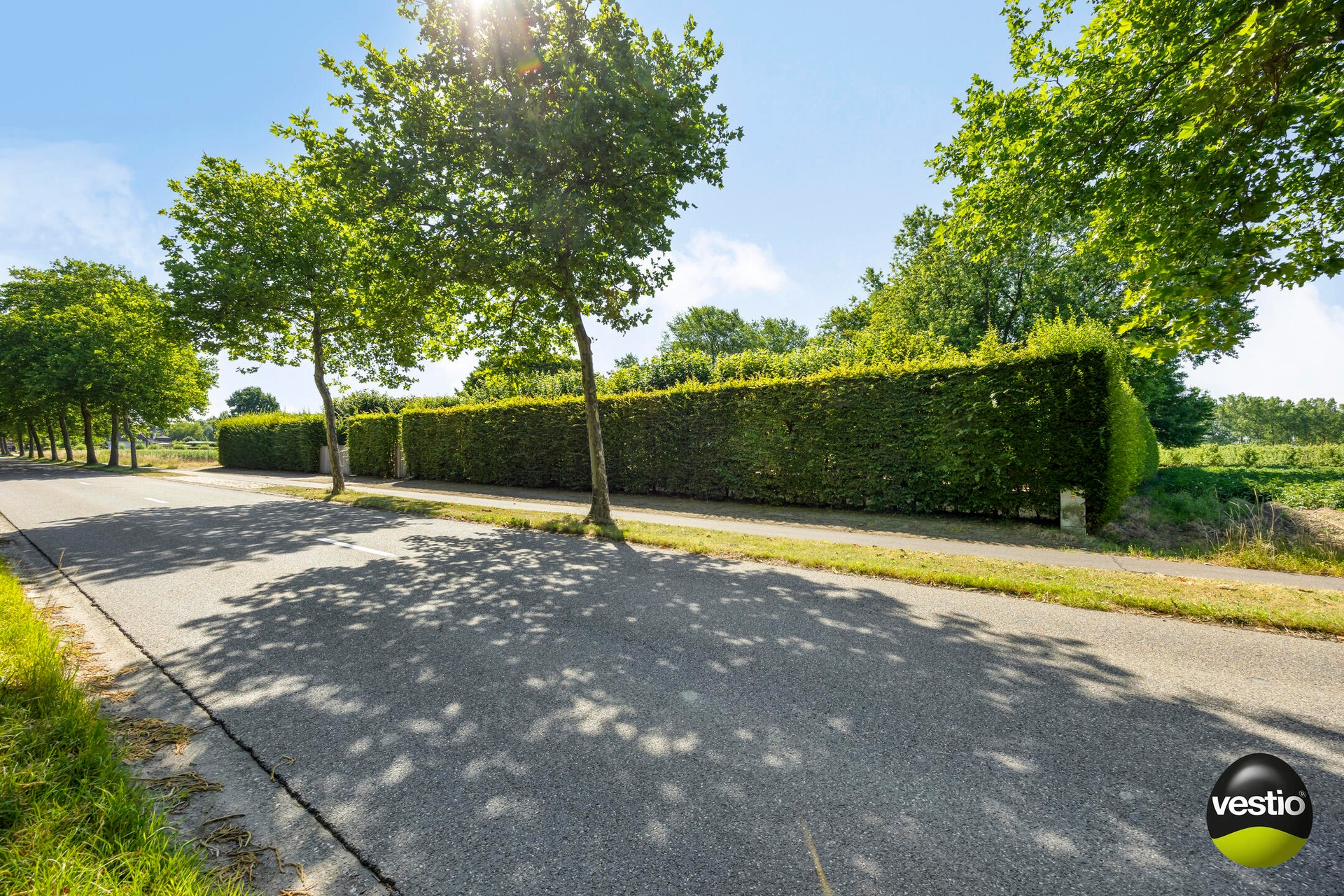Exclusieve villa in bosrijke omgeving van Hasselt – 5.000 m² privacy en groen - foto 5