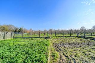 Te koop: Open bebouwing in Meensel-Kiezegem, gelegen in een landelijke omgeving met mooi open zicht.Bekijk deze woning hier alvast volledig virtueel...