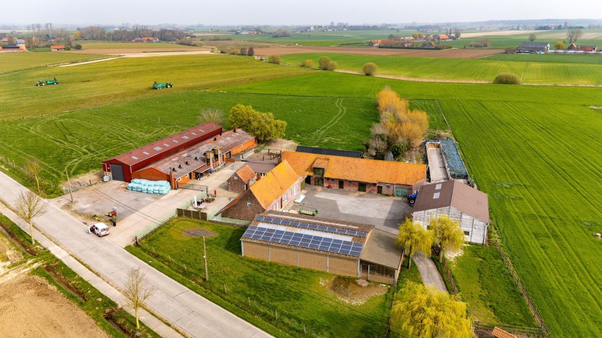 Mooi gelegen hoeve met loodsen op 2,5 ha te koop te Watou - foto 4