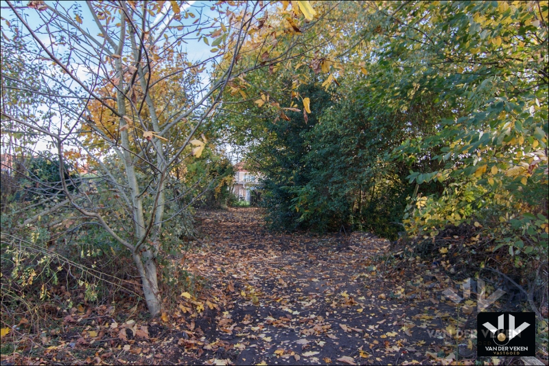 Maison à vendre à Tongres avec 3 chambres - photo 5