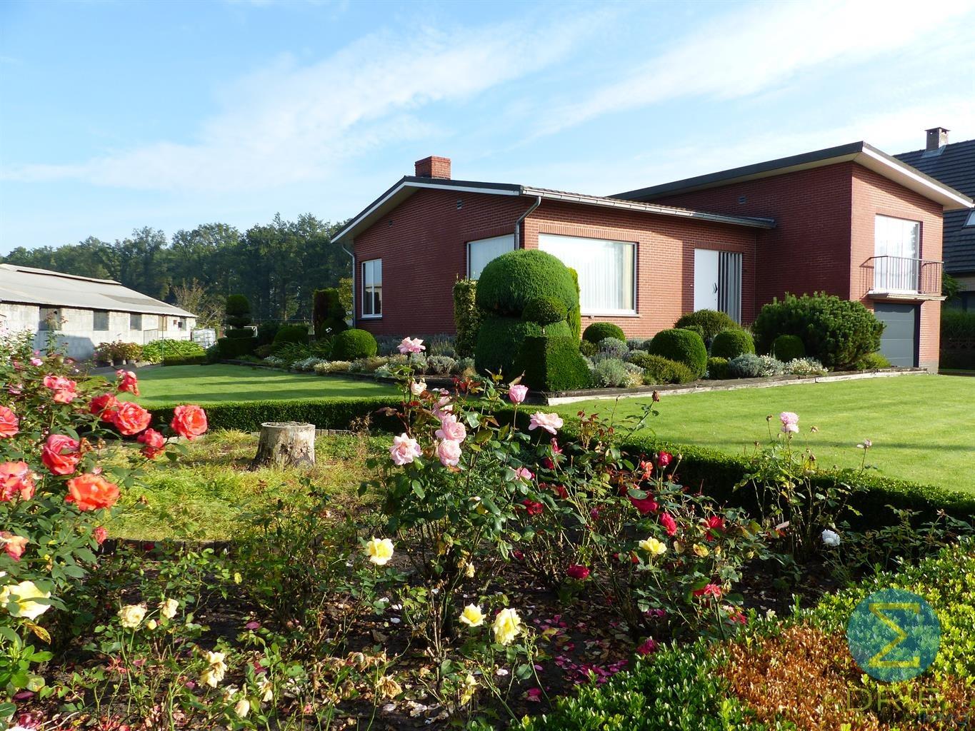 Huis te huur in Arendonk met 3 slaapkamers - foto 1