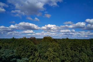Op de mooiste dreef van Schilde gelegen exceptioneel bouwkavel met ideale configuratie en uitloop in natuurgebied en waterloop.Breedte aan de dreef...