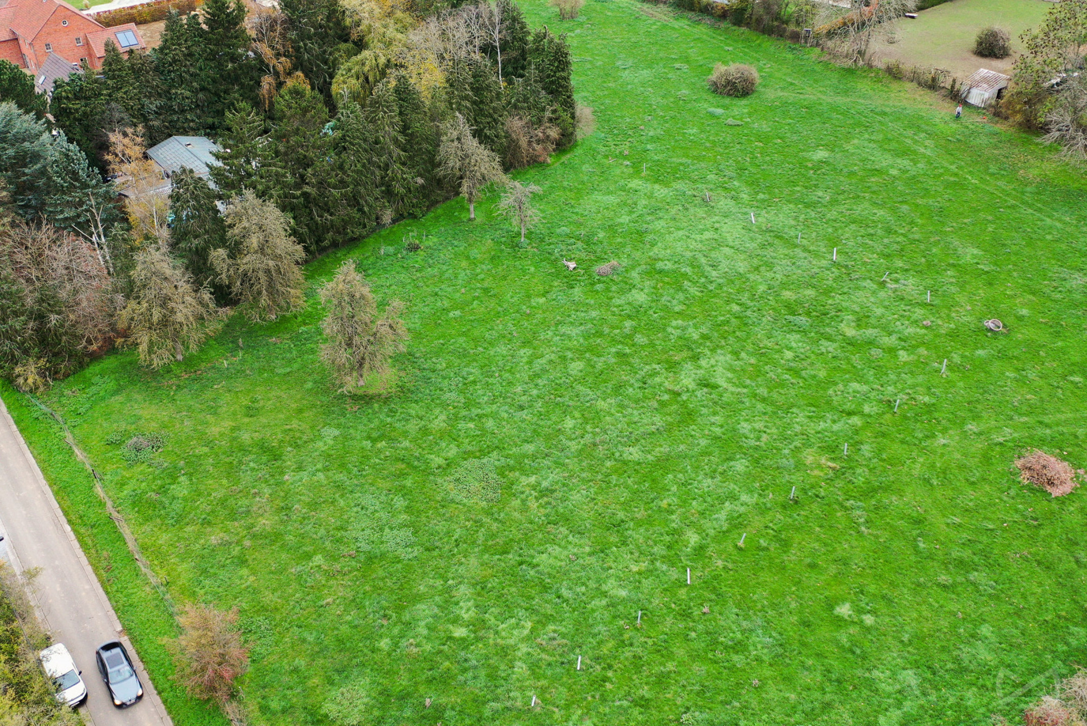 Grond te koop in Hannut - foto 3