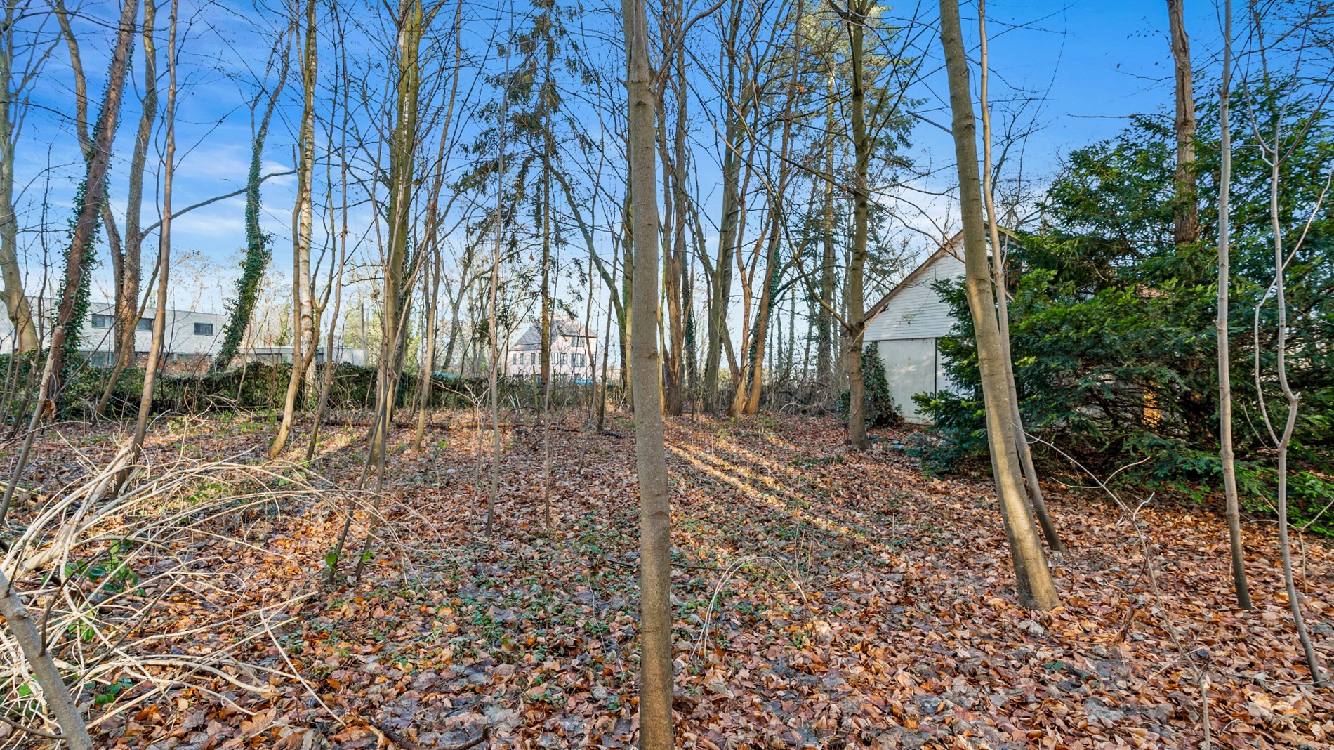 PELLENBERG - Exculsief bouwperceel op 25a68ca - OB - foto 5