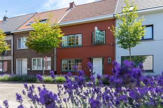 <p><span>Bent u op zoek naar een ruime woning met een centrale ligging én een rustige woonbeleving? Dan is deze woning aan De Mortel 13 zeker een bezoek waard.</span></p><p><span>Deze karaktervolle gezinswoning bevindt zich op een uitstekende locatie, vlak bij winkels, scholen, openbaar vervoer en belangrijke verbindingswegen. Toch geniet u hier van een verrassende rust, zowel in de woning als in de aangename tuin, waardoor u elke dag thuiskomt in een oase van comfort.</span></p><p><span>De woning beschikt over bijzonder ruime leefruimtes en telt maar liefst </span><span>6 volwaardige slaapkamers</span><span>, waardoor ze ideaal is voor grote gezinnen, thuiswerkers of wie extra ruimte wenst voor hobby's en gasten.</span></p><p><span>Een extra troef is de </span><span>achtergelegen garage</span><span>, die bereikbaar is via een servitudeweg. Hierdoor beschikt u over een praktische en veilige parkeer- of opslagruimte met een vlotte toegang.</span></p><p><span>Troeven van deze woning:</span></p><ul><li><span>Centrale en gegeerde ligging in Brasschaat </span></li><li><span>Rustige woonomgeving ondanks de uitstekende bereikbaarheid </span></li><li><span>Ruime en lichtrijke leefruimtes </span></li><li><span>Maar liefst 6 slaapkamers </span></li><li><span>Aangename, rustige tuin </span></li><li><span>Achtergelegen garage bereikbaar via servitudeweg </span></li><li><span>Ideaal voor grote gezinnen of wie veel ruimte zoekt </span></li></ul><p><span>Een woning die ruimte, comfort en een uitstekende ligging combineert. Ontdek zelf de mogelijkheden tijdens een bezoek.</span></p>
