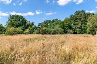 Op een gegeerde locatie in Tessenderlo-Ham bevindt zich deze ruime bouwgrond van 1620 m², geschikt voor een open bebouwing. De ligging combineert rust en natuur met een vlotte bereikbaarheid – een zeldzame troef. De grond is gelegen op wandelafstand van het gerenommeerde Millennium Golfdomein en het natuurgebied rond de Paalse Plas, wat garant staat voor een uitzonderlijke woonomgeving. De residentiële en kindvriendelijke buurt biedt een aangename leefomgeving waar privacy, groen en ontspanning centraal staan. Daarnaast geniet u van een uitstekende locatie dankzij de nabijheid van belangrijke invalswegen. Winkels, scholen en openbaar vervoer bevinden zich op korte afstand, wat het perceel ook functioneel bijzonder aantrekkelijk maakt.<br /><br />Deze bouwgrond biedt tal van stedenbouwkundige mogelijkheden. De render geeft een indicatieve weergave van een mogelijke woning volgens de geldende bouwvoorschriften conform de verkaveling.<br /><br />Bouwvoorschriften:<br />- Open bebouwing<br />- Enkel eengezinswoning (met inbegrip van zorgwoning toegelaten)<br />- Functies complementair aan het wonen, zoals kantoorfunctie, vrij beroep, dienstverlening, zijn toegelaten<br />- Bouwdiepte max. 20 m<br />- Bijgebouw is toegelaten<br /><br />Dit is een uitstekende opportuniteit als u op zoek bent naar een bouwgrond voor een open bebouwing te Tessenderlo-Ham. Contacteer ons voor meer informatie op 0474/78.07.73 of neem een kijkje op www.boonstravastgoed.be .<br /><br />Bijzonderheden:<br />- Perceel = 1620 m²<br />- Uitstekende ligging<br />- Bouwgrond voor open bebouwing 