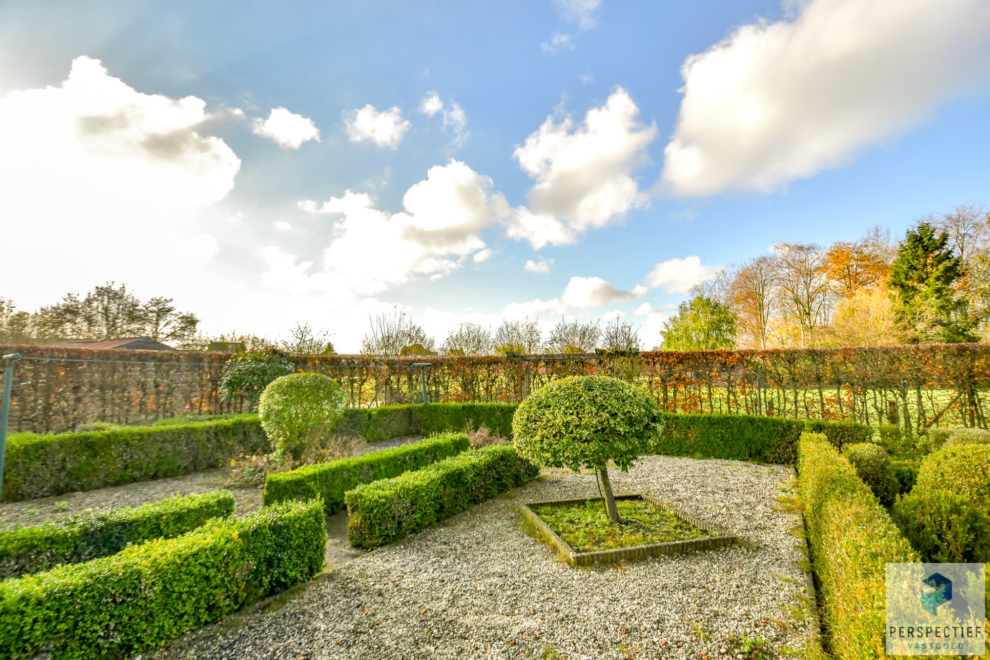 Ruime te renoveren woning met grote tuin op 858m² - foto 4