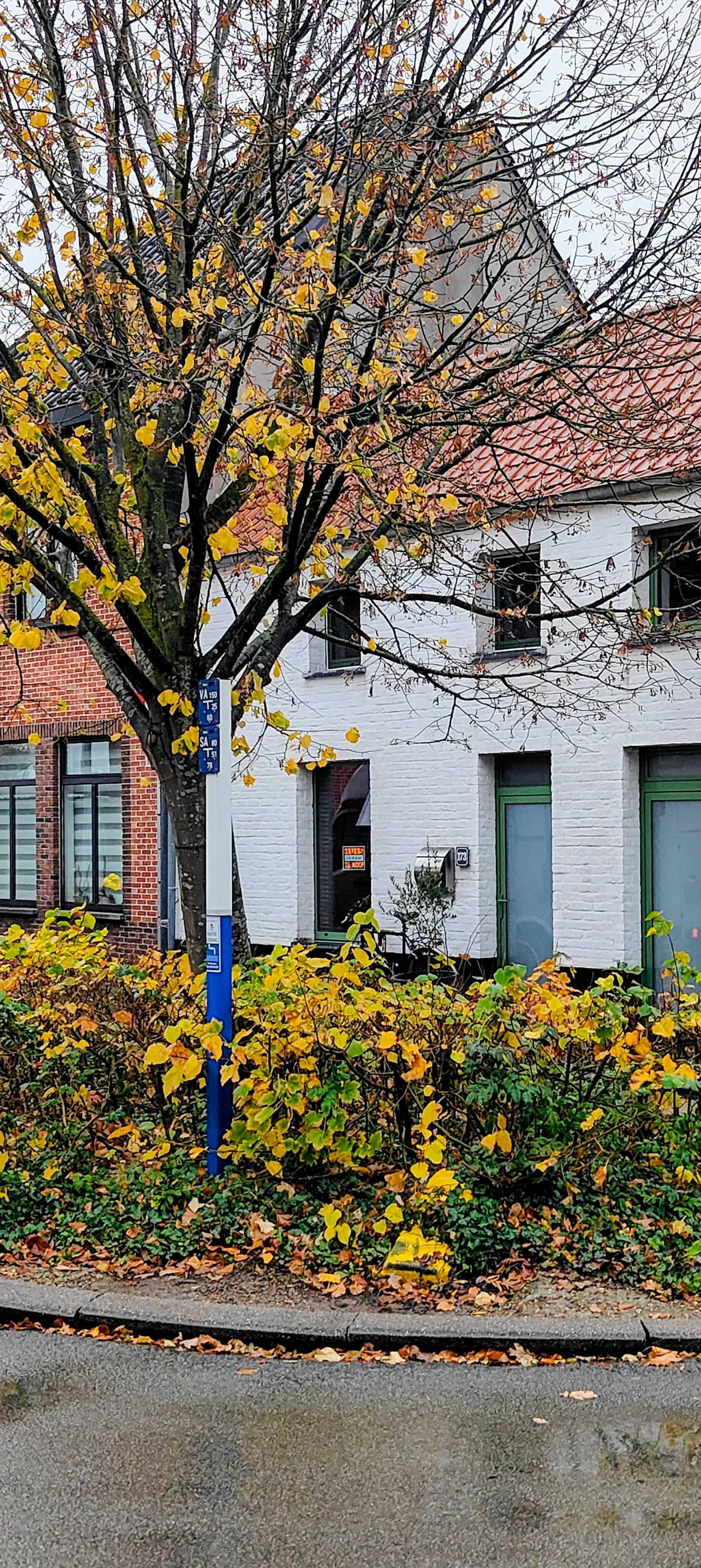 Huis te koop in Zele met 1 slaapkamer - foto 1
