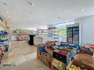 Propriété spacieuse offrant l'opportunité idéale de combiner activités commerciales et vie confortable.Au rez-de-chaussée se trouve actuellement un...