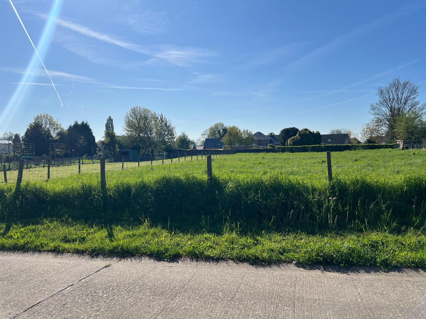 Terrain à vendre à Riemst - photo 2