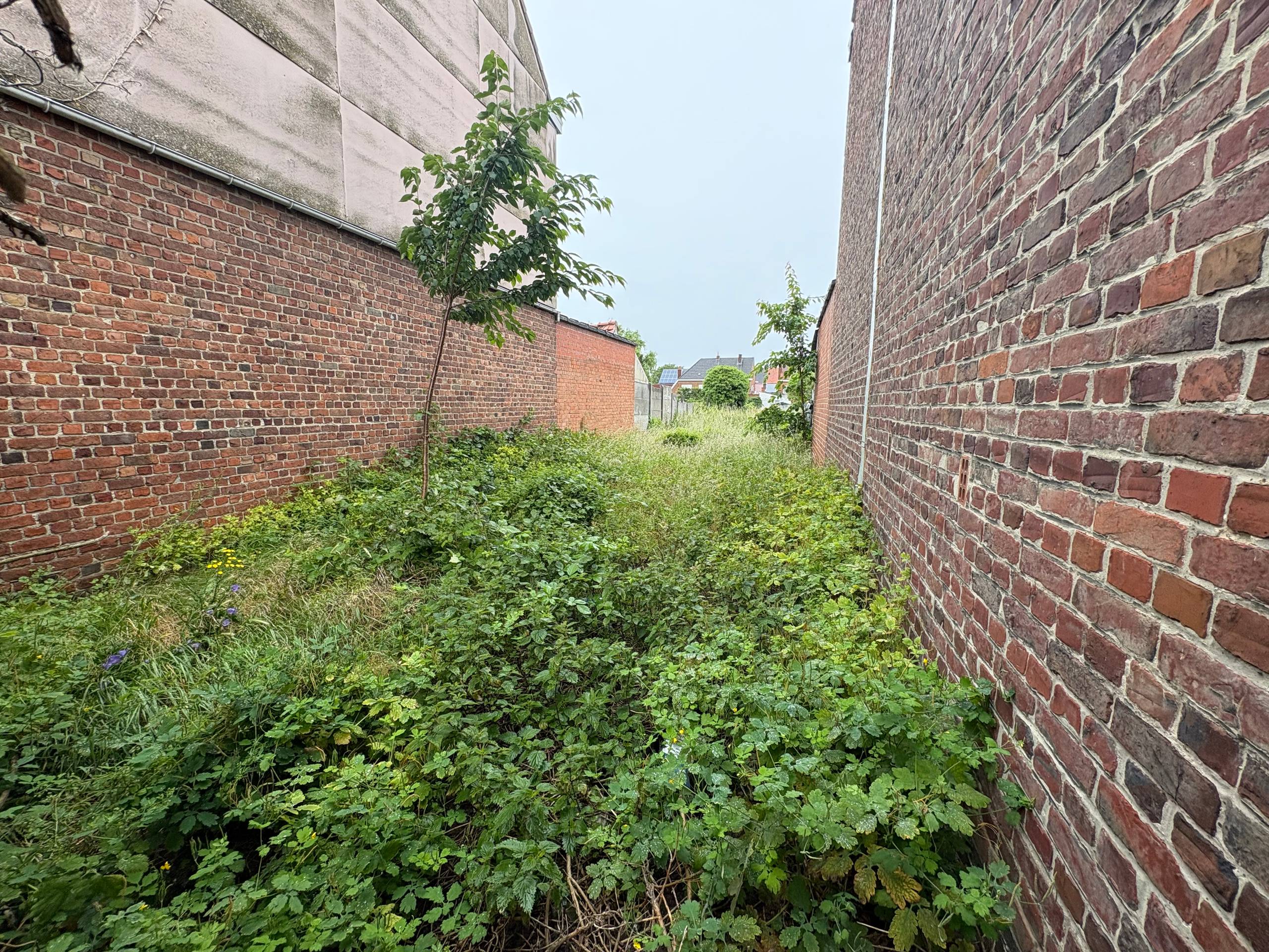 Wervik - Bouwgrond te koop - foto 5