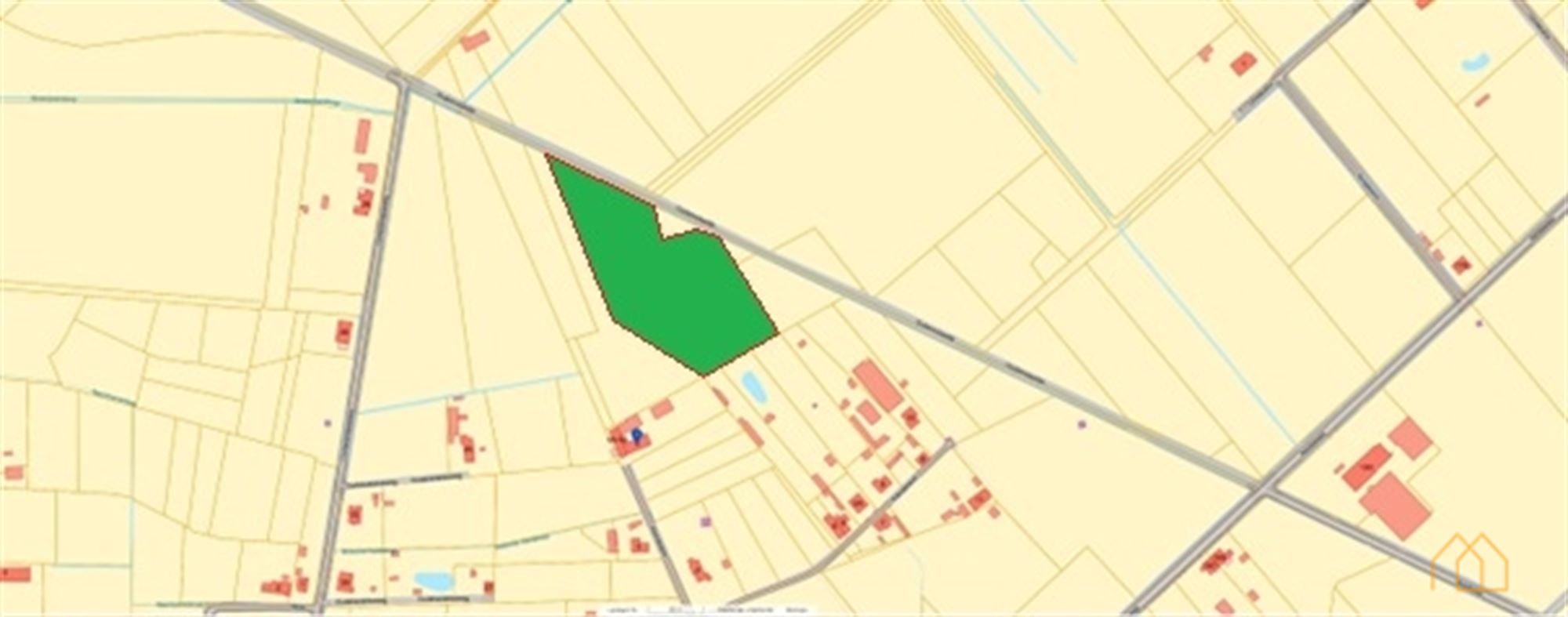 Ten Aard: Bos van 2ha - foto 2