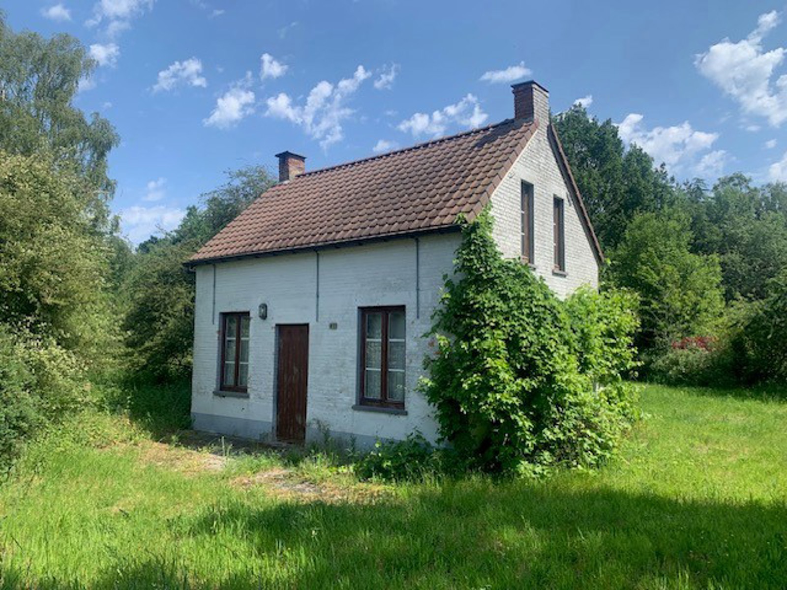 Mooi weekendverblijf op bijna 1 hectare. - foto 5