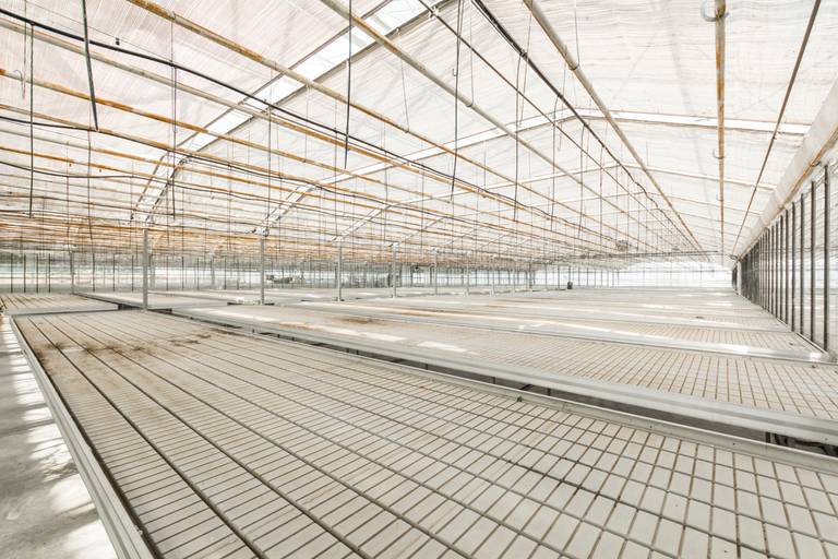 Welgelegen serrecomplex, ideaal voor agrarische activiteiten - foto 9