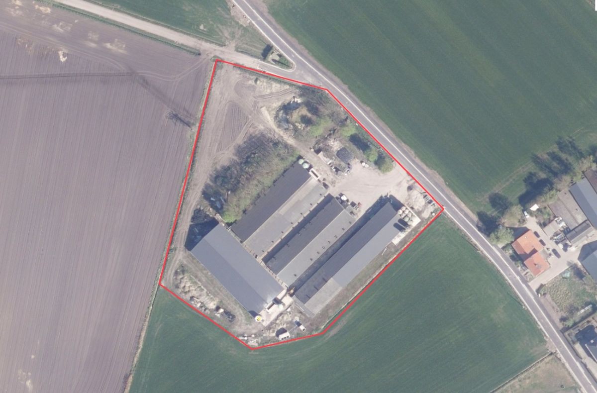 Landbouwloodsen te koop te Ravels (Weelde) - photo 4