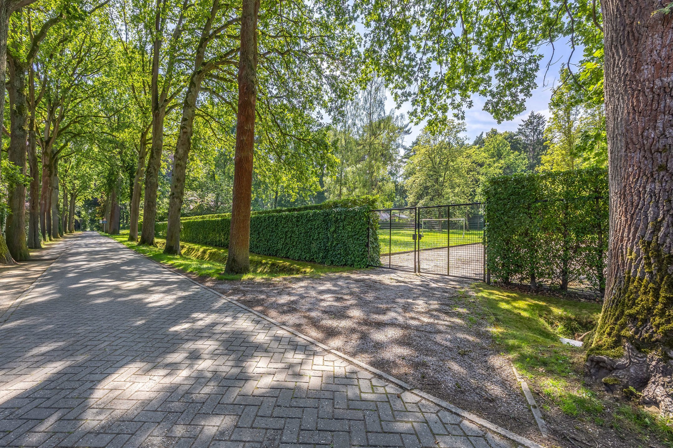  Uitzonderlijke ZW bouwgrond van 4.053 m² op toplocatie! - foto 4