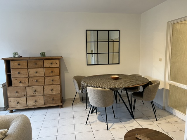 gemeubeld 1-slpk appartement met zonnig terras nabij UZ Gent - foto 4