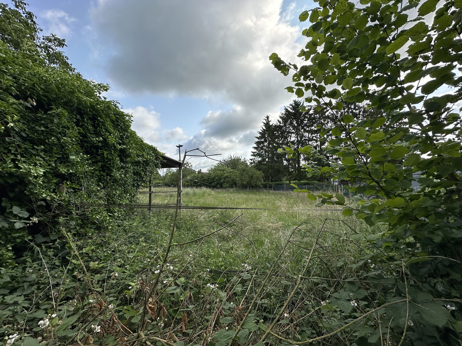 Bouwgrond 492m² - foto 5