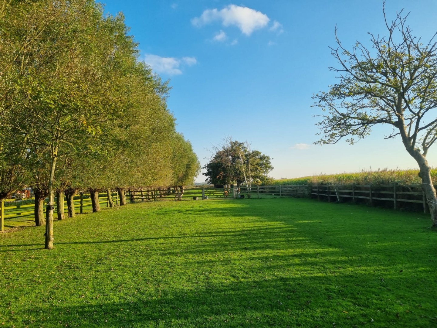 Uiterst charmante halfopen bebouwing met weidse zichten op een perceel van 2012m² - foto 3