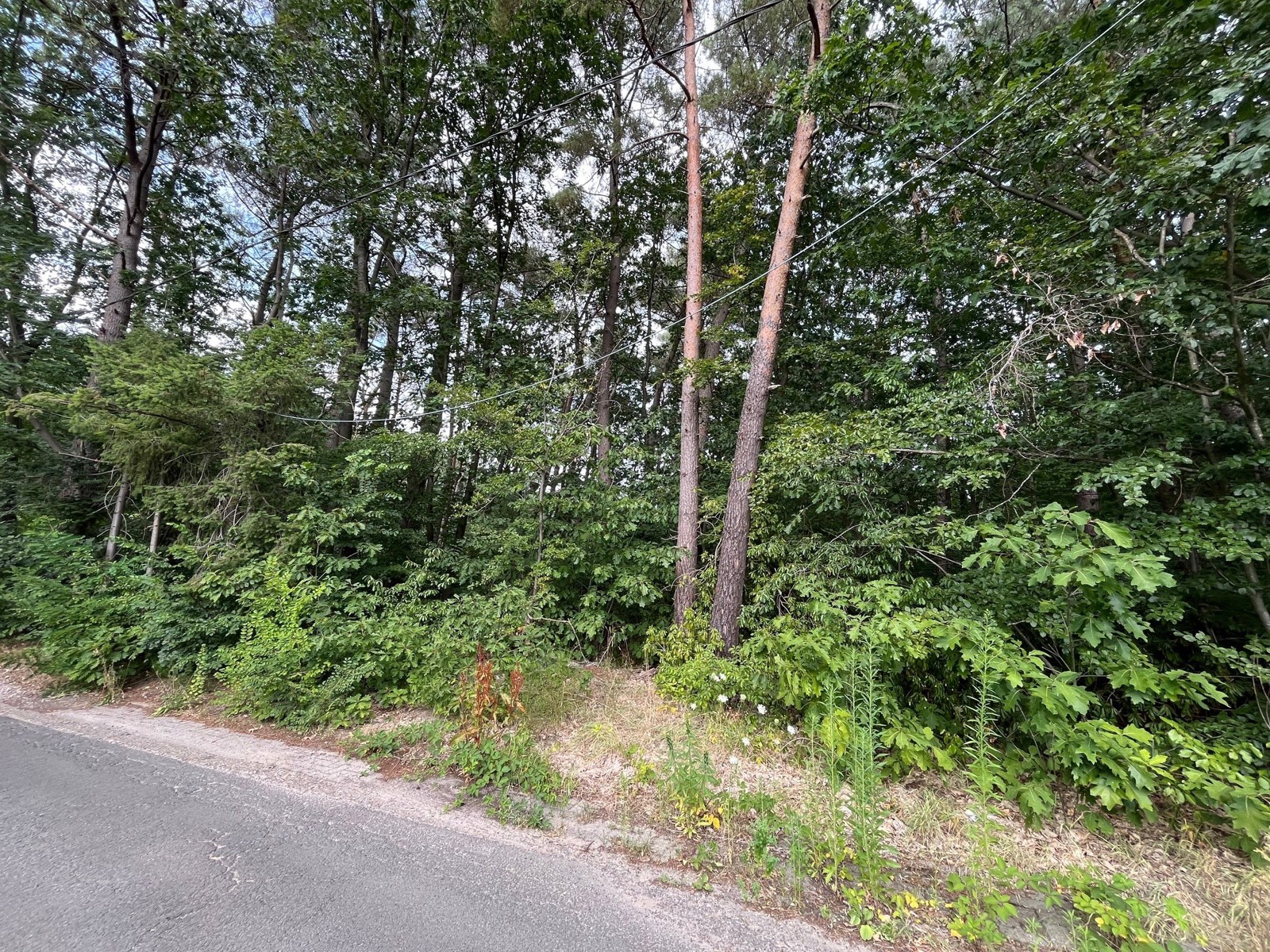Bouwgrond voor open bebouwing 1.567m² - foto 5