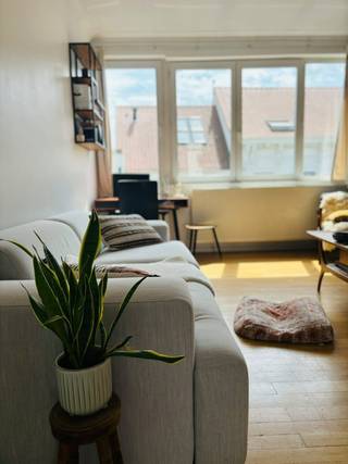 <p>1-slaapkamer appartement in Antwerpen</p><p>Rust vinden in een bruisende buurt? Dit lichtrijke appartement van ca. 70 m² combineert het beste van twee werelden: wonen op wandelafstand van het Centraal Station, gezellige koffie- en eetadresjes en alle dagelijkse voorzieningen, terwijl je thuis net van verrassend veel rust geniet.</p><p>Het appartement bevindt zich op de derde verdieping van een kleinschalig appartementsgebouw in de Provinciestraat. Het ligt aan het rustigere gedeelte van de straat, waar geen tram passeert, met enkel-richting autoverkeer. Aan de andere zijde kijk je uit over de daken en groene binnentuinen van de buurt. Zo woon je bijzonder centraal, zonder voortdurend het gevoel te hebben midden in de stadsdrukte te zitten.</p><p>Binnen valt meteen de hoeveelheid licht op. De ruime woon- en eetkamer heeft grote raampartijen en een mooi open uitzicht. De authentieke houten vloer en warme inrichting geven de ruimte veel karakter. Er is meer dan voldoende plaats voor een zithoek en eettafel én een aparte werkplek.</p><p>Aansluitend bevindt zich de praktische keuken met houten kasten en een ruim werkblad. De aparte slaapkamer is eveneens ruim en lichtrijk, met plaats voor een tweepersoonsbed, grote kledingkast en extra meubelen. Vanuit de slaapkamer geniet je van het open uitzicht over de achterliggende buurt.</p><p>De badkamer beschikt over een ligbad met douche, wastafel en aansluiting voor de wasmachine. Daarnaast is er een klein koertje/balkon: een beschut buitenplekje waar je 's ochtends een koffie kunt drinken of aan het einde van de dag even buiten kunt zitten.</p><p>Alles binnen handbereik</p><p>De ligging is ideaal voor wie graag te voet of met de fiets leeft. Voor koffie wandel je in ongeveer 1 minuut naar Vitesse, voor pizza in 2 minuten naar Graan Pizza. Een Velo-station ligt op amper 1 minuut wandelen en het Centraal Station bereik je in ongeveer 5 minuten te voet.</p><p>Ook boodschappen doe je eenvoudig zonder auto: Lidl ligt op ca. 5 minuten wandelen en Delhaize op ca. 10 minute</p>