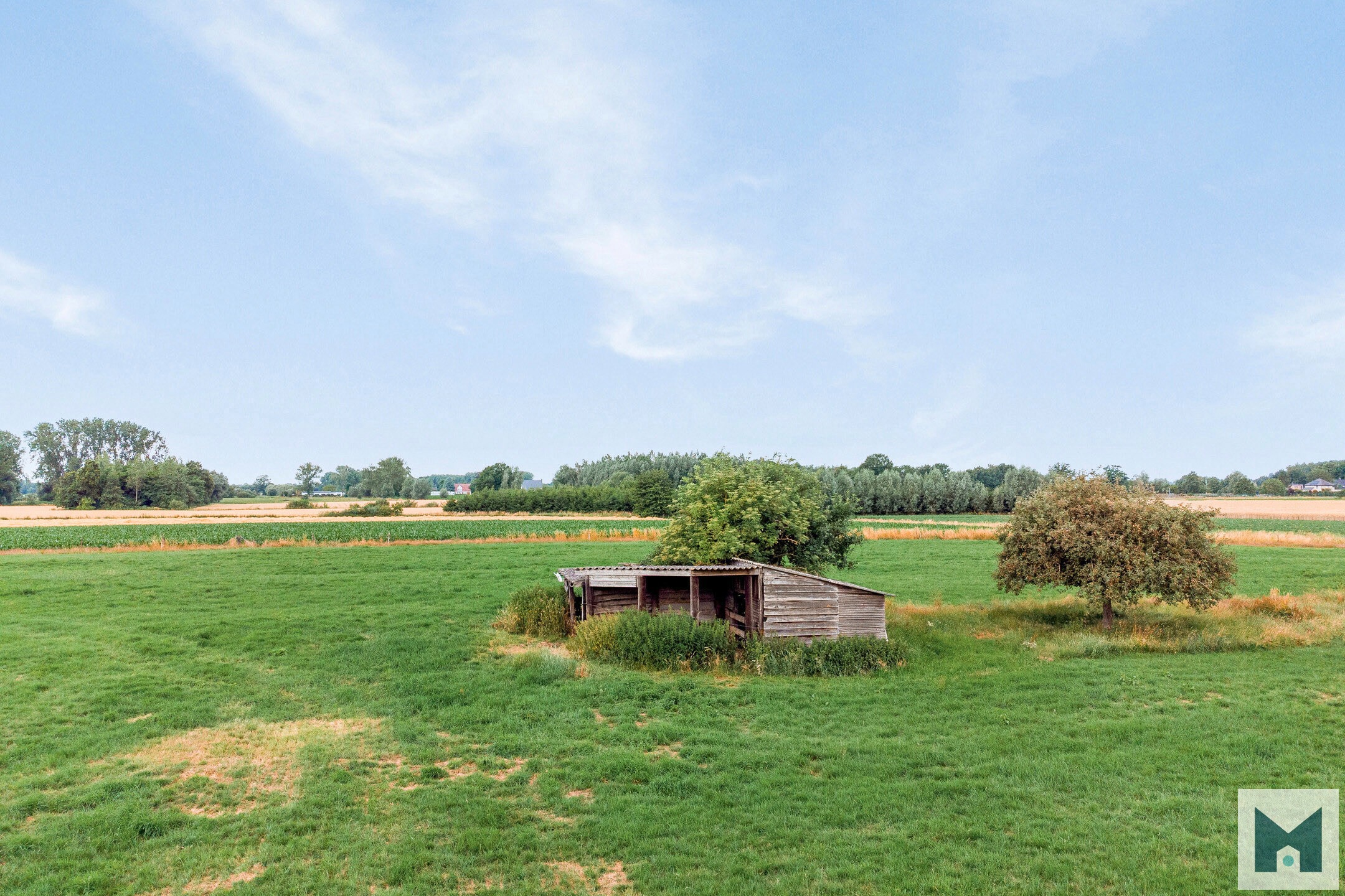 Prachtig weiland van maar liefst 1,864 hectare! - foto 1