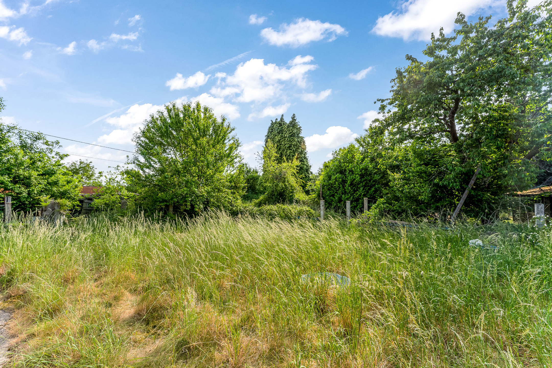 Terrain à vendre à Balen - photo 4