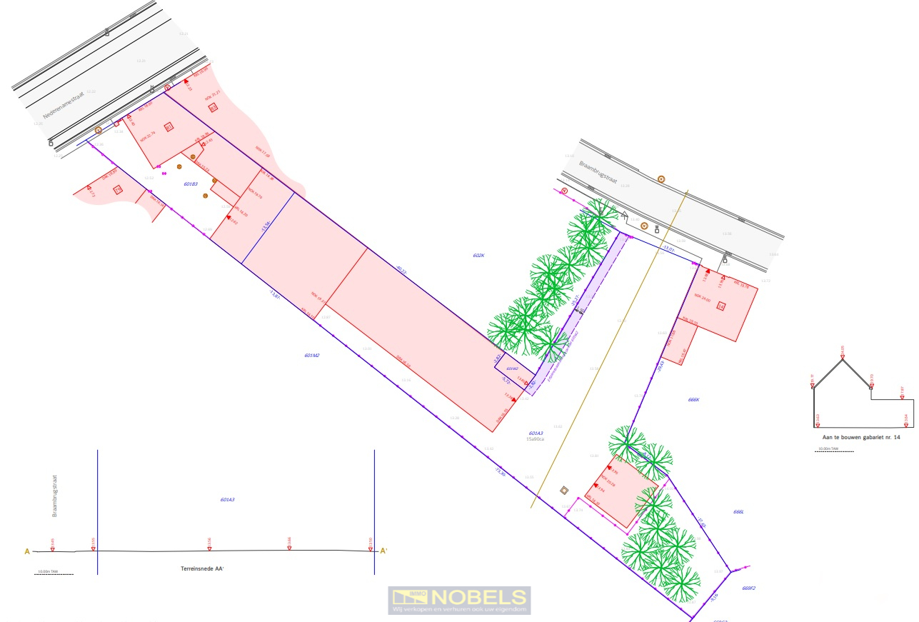 Te koop, projectgrond (+-20 are) met woonhuis, atelier en bouwgrond te Oudenaarde - photo 2