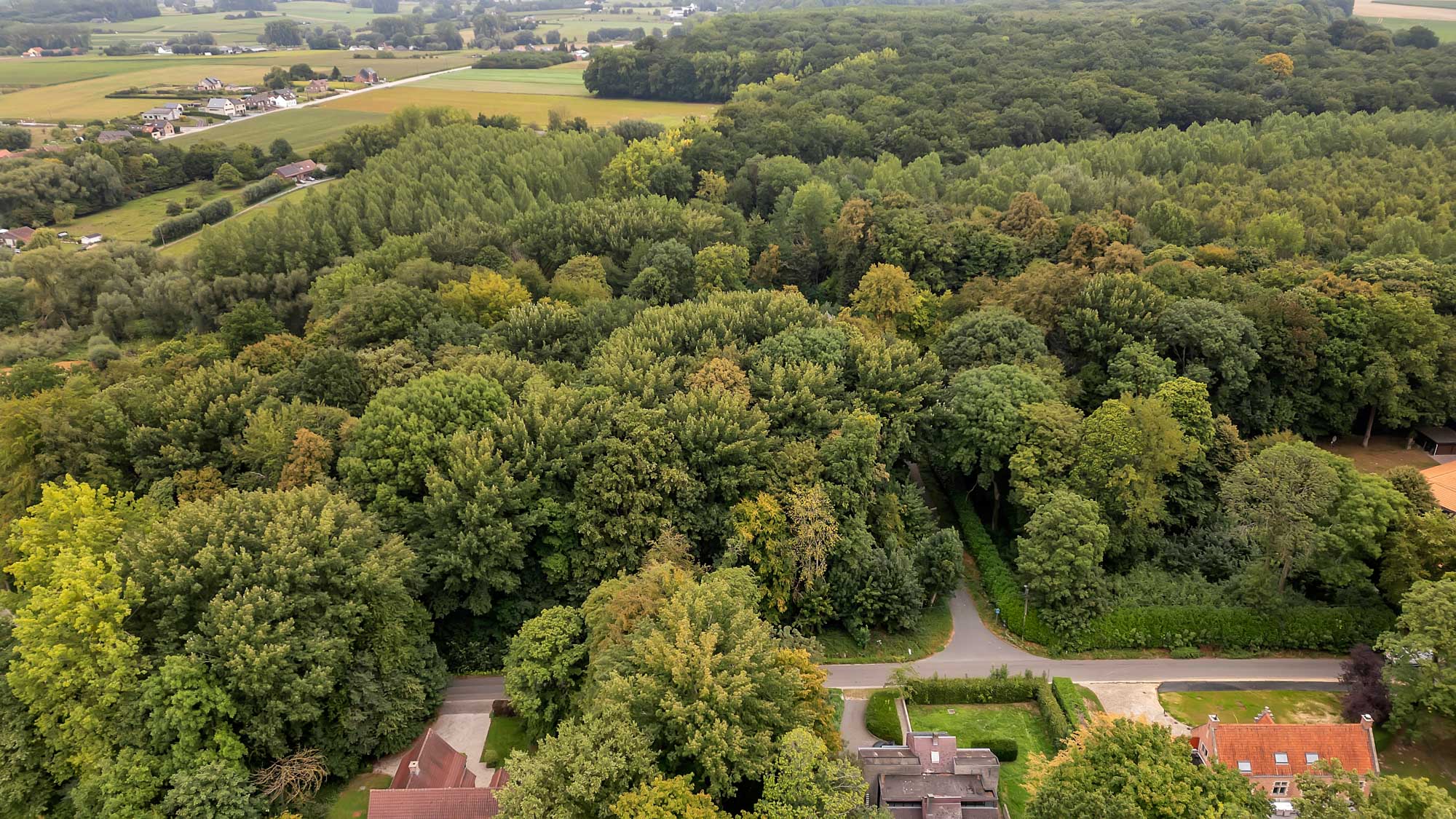 Exclusieve bouwgrond te koop in Lettelingen! - foto 2