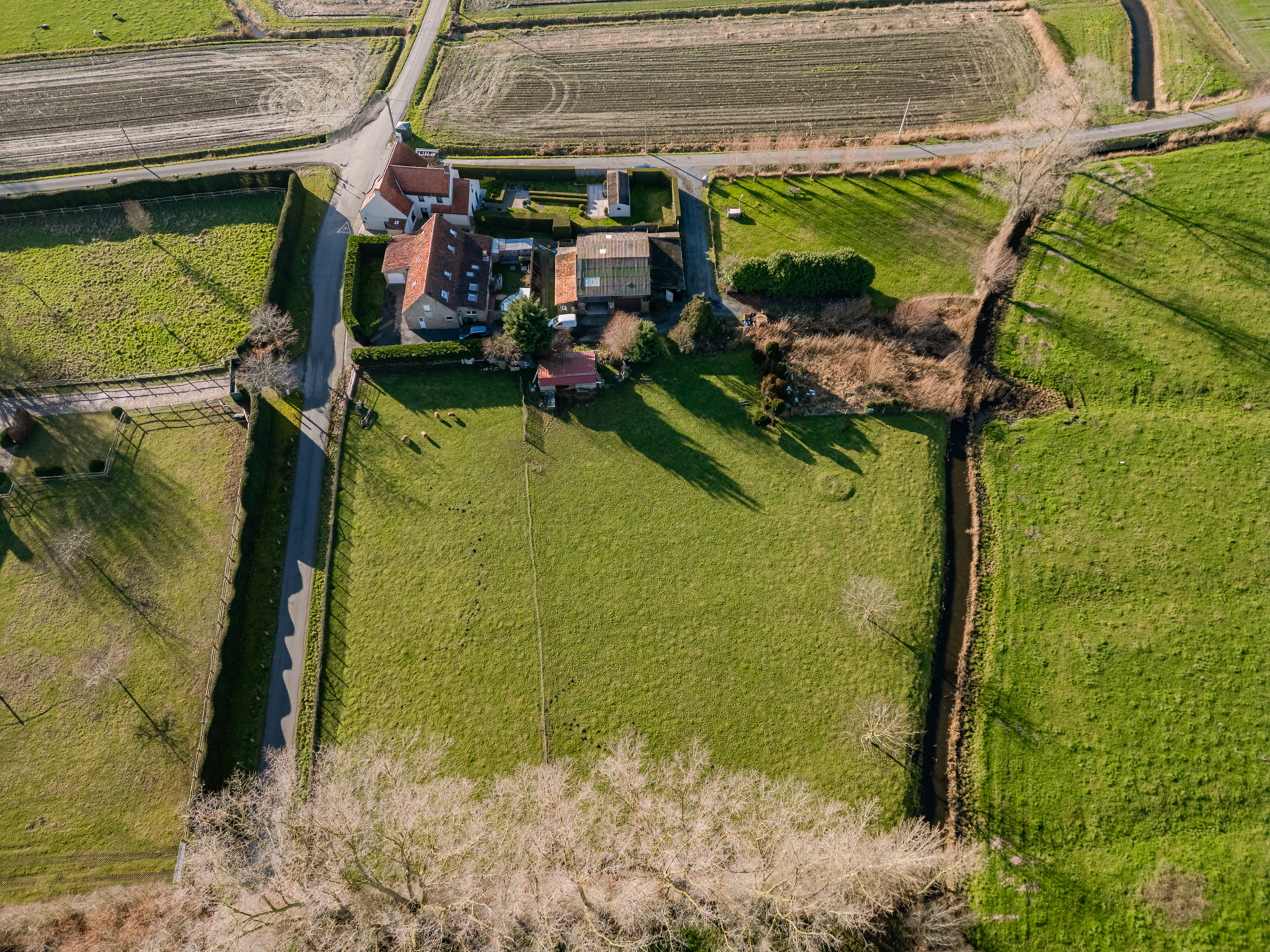 3.528 m² perceel op topligging achterzicht Damse Vaart! - foto 4