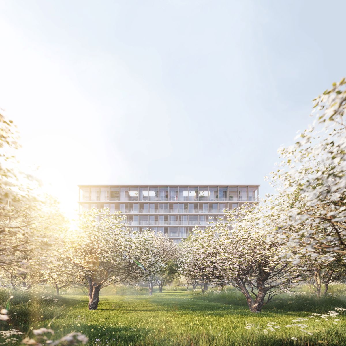 Doorzonappartement met 2 wintertuinen en zicht op binnentuin - foto 4