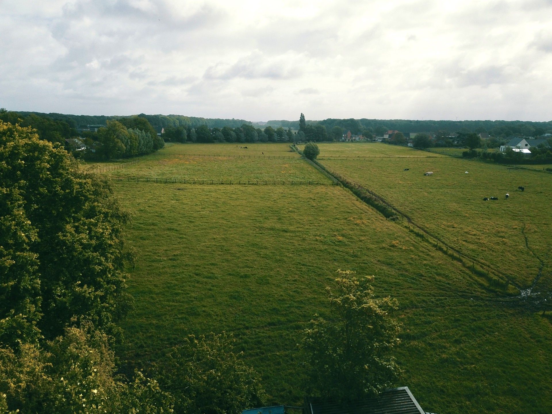 Bouwgrond voor een open bebouwing te koop op een rustige ligging te Torhout! - foto 4