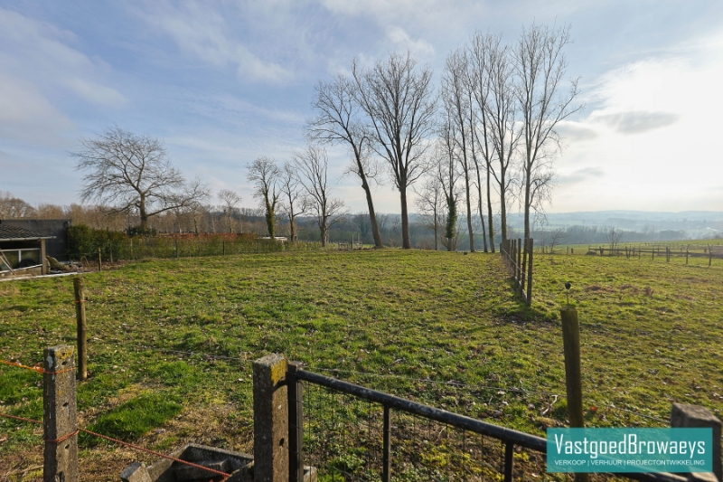 Te renoveren bungalow met polyvalente ruimte en aanpalende weide - foto 3